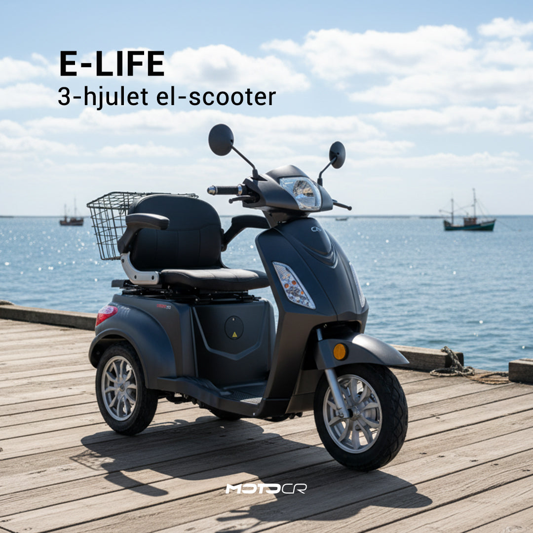 E-LIFE 25 kmt